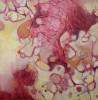 veins of love