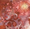 hands in red soil