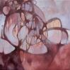 strata