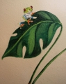 tree frog close up